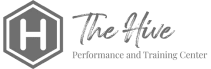 The Hive logo